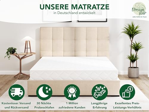 DREAMSTAR Ergo Flex Duo 7-Zonen Matratze 90x200 cm | H2&H3 | Ergonomische Kaltschaummatratze |...