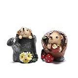 Hodao 2pcs Hedgehog Figurines Spring Home Decor Spring Hedgehog Decorations Spring Figurines Hedgeho