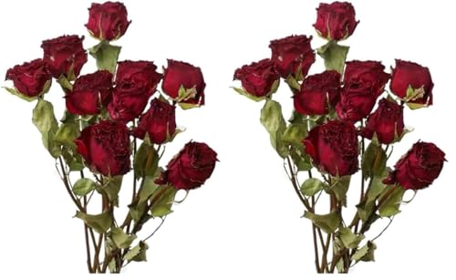 Ramo de flores secas naturales TooGet, 10 rosas rojas, pack 2 miniatura 1