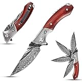 Sitivien ST253 Damascus Folding Knife,VG10 Damascus Steel Blade,Dalbergia Handle EDC Tool Knife for Men Outdoors Camping Fishing