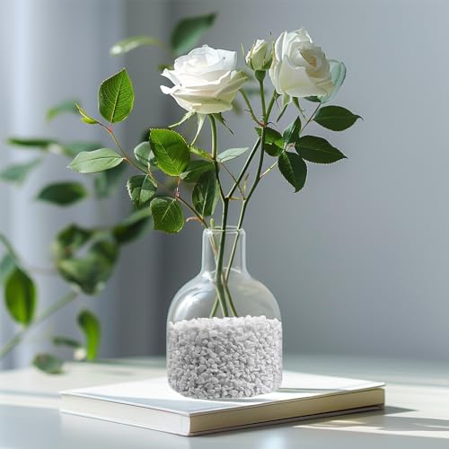 Image of 1.1 LB White Succulent Cactus Soil Cover Gravels, Decorative Small Rock | Indoor Plants,Natural Stones for Aquarium Fish Tank,Grow Media Cultivation Hydroponic Pebbles,2-5mm