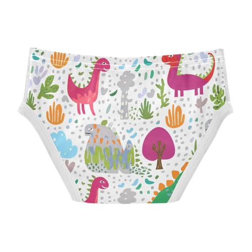 Colorful Cartoon Dinosaurs Toddler Boy's Underwear 2T 202c11962