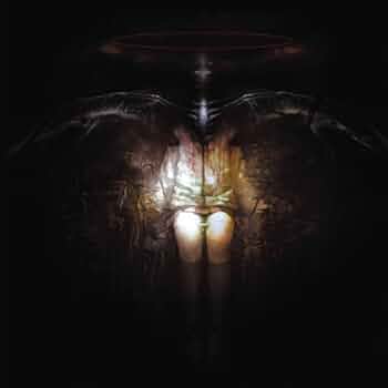 Amazon.co.jp: 変身 最終形態 ~The Metamorphosis Final Form