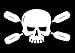 Skull and Paddles Kayaking Sticker (kayak rowing decal)