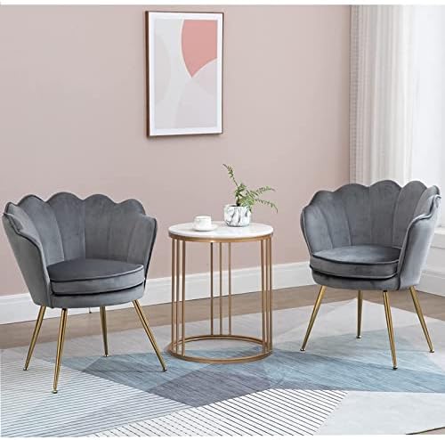 ZJhome Modern Accent Velvet Chairs Set of 2 Comfy Upholstered Vanity Chairs for Bedroom Shell-Shaped Armchair Dining Chairs with Golden Metal Legs Desk Chair Makeup Chairs for Living Room(Gray)