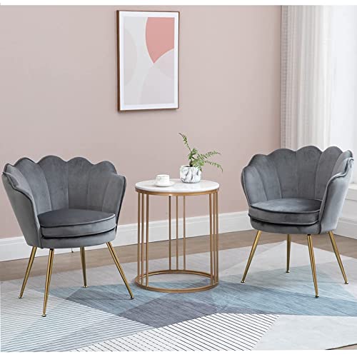 Zjhome Modern Accent Velvet Chairs Set Of 2 Comfy Upholstered Vanity Chairs For Bedroom Shell-Shaped Armchair Dining Chairs With Golden Metal Legs Desk Chair Makeup Chairs For Living Room(Gray) #TOP18