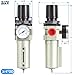 TAILONZ PNEUMATIC 0-240PSI 3/4 Inch NPT Industrial Heavy Duty Particulate Filter and Regulator, Particulate Filter, Coalescing Filter (Manual Drainage)