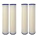 Replacement 0.35 Sub-micron Post-Filter for Whole House Water Filter Systems