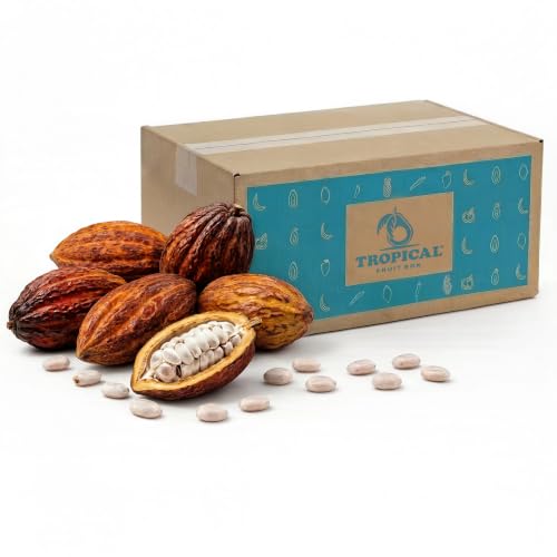 Tropical Fruit Box Fresh Cacao Fruit, 6 Premium Cacao Pods, Pure Chocolate Seeds, Authentic Tropical Flavor, Perfect for Chocolate Making, Desserts, Smoothies, Culinary Creations & Gift Use