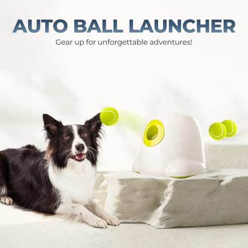 ALL FOR PAWS Ultimatives Wurfspielzeug Interaktiver Hund Automatischer Ballwerfer, Tennisball Wurfmaschine für große und große Hunde, 3 Bälle enthalten (Hundeball-Launcher Maxi)