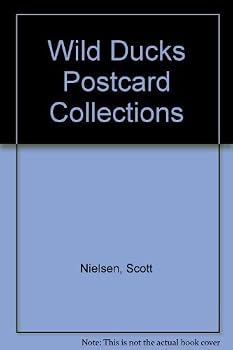 Wild Ducks Postcard Collections