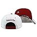 Mitchell & Ness Chicago Bulls Snapback Hat Cap White/Maroon