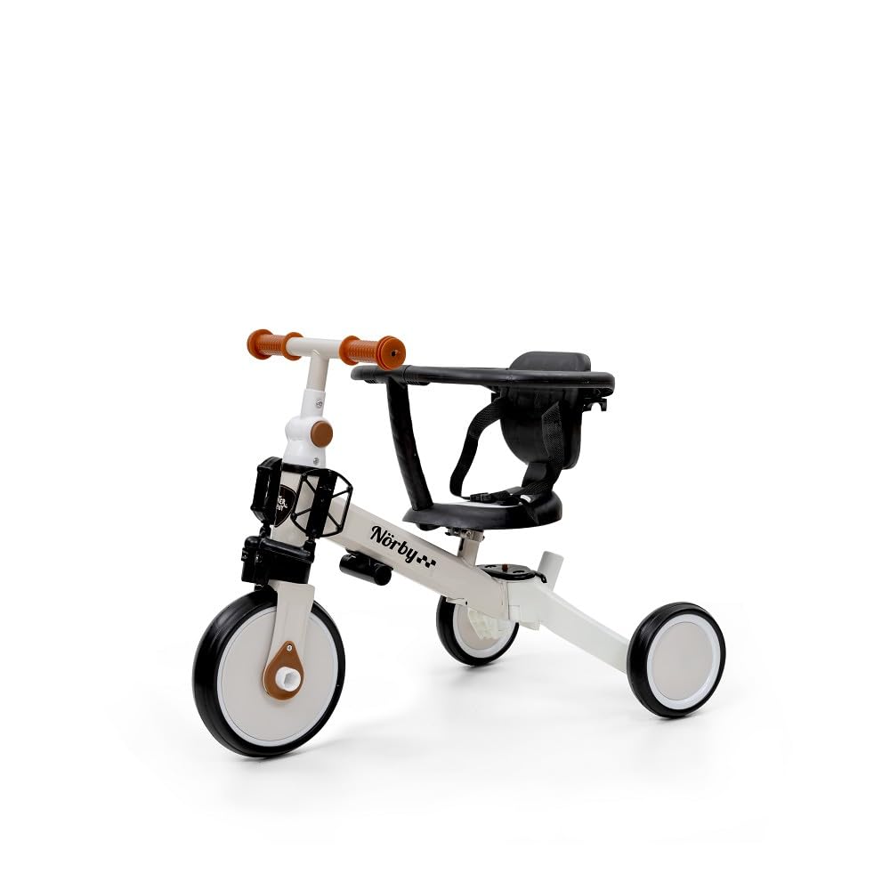 Interbaby Norby: 5 in 1 Dreirad und Laufrad mit Verdeck, 1 bis 5 Jahre