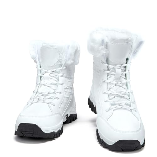 [HJBJBD] Xm[u[c fB[X Xm[V[Y h u[c EB^[u[c gbLOV[Y gN hu[c h ~ H~V[Y K r  y _炩 ȌC   C ۉ ʊw ʋ 풅p (z