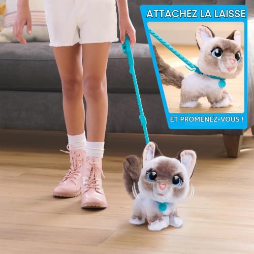 Jouet interactif FURREAL FRIENDS Chaton Grand Marcheur 23 cm Animal interactif avec laisse - vue 2
