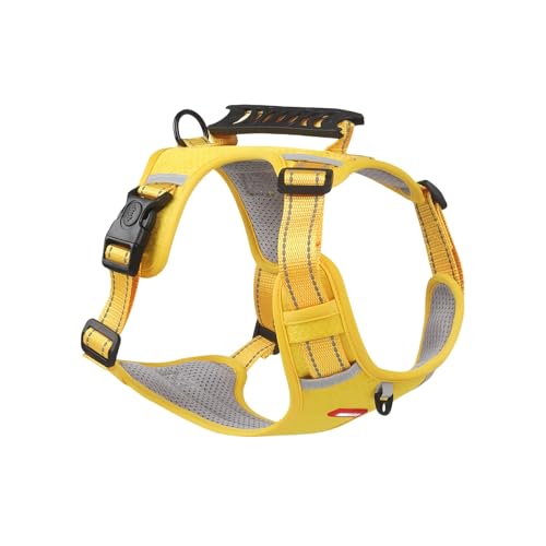 pn[lXEԔˁh~݌v | ^`^ΉEʋCbVfށEEȒPESbNt | ySTCYΉEUœKz (Si5-7kgj,CG[*1+1.5[gˊۃ[v)