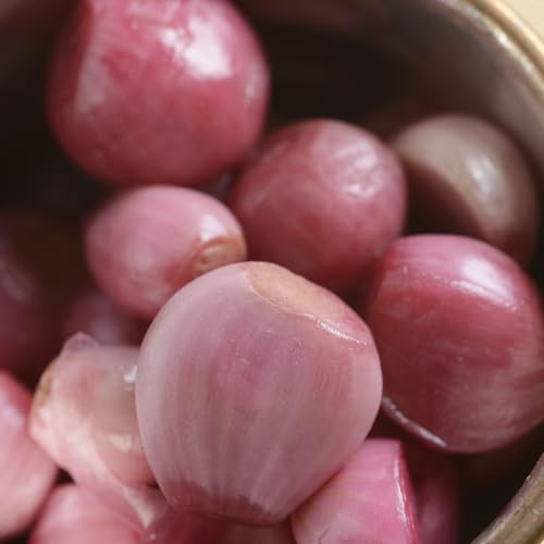 Van Zyverden Dutch Shallots Red Set of 25 Bulbs - Thumbnail 3