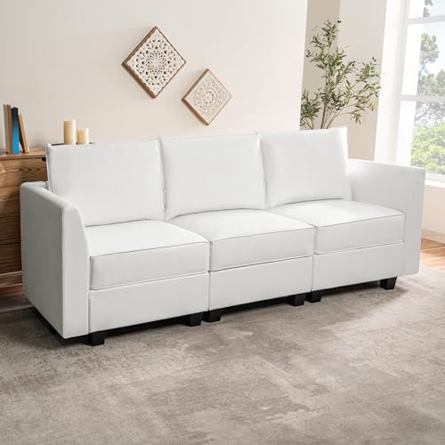 Naomi Home Elizabeth Modular Living Room Sofa with Extendable Design