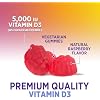 Vitamin D3 Gummies 125 mcg (5000 IU) Per Serving - 3X Strength Immune Support & Bone Support, Vitamin D Gummy Dietary Supplement, Nature's Berry D Vitamin Supplement, Raspberry Flavored - 60 Gummies