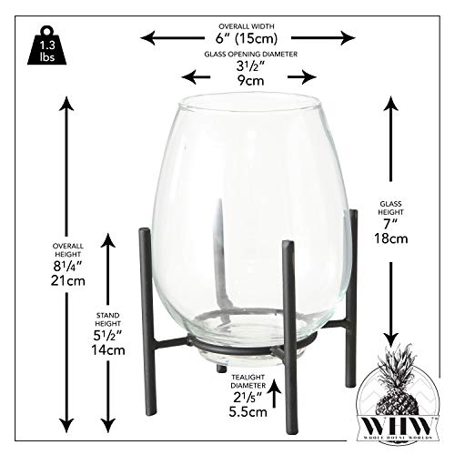 Whw Whole House Worlds Stilt Stand Candle Holder Vase, Clear Glass, Black Iron Stand, 8.25 High X 6 Wide Inches #TOP3