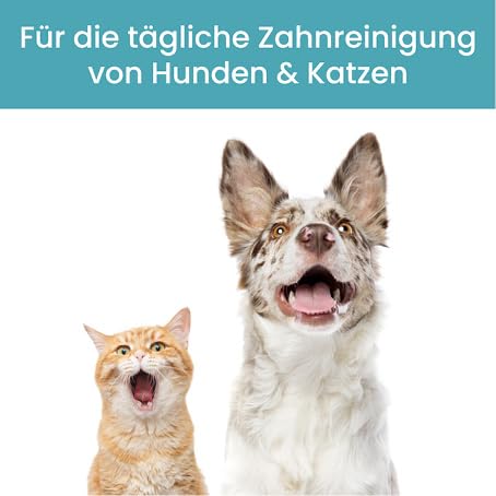 Katzenzahnpasta von DERMAVET mit Lavapirox für gesunde Zähne