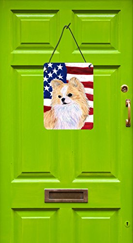 Drapeau américain Chihuahua 40x30 cm, plaque murale déco extérieure