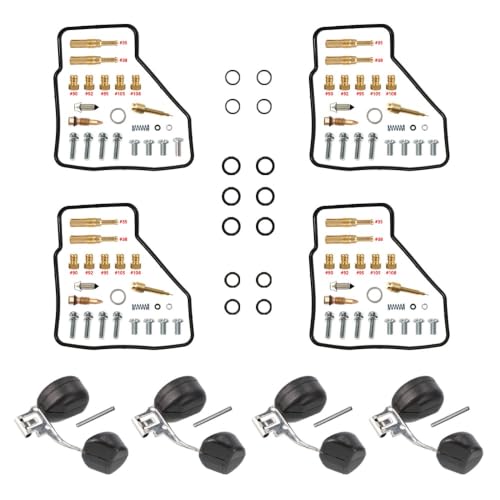 Kit Réparation Carburateur VF500F Solution Fuite Essence Moteur V4 500cc CV 32mm avec Flotteur