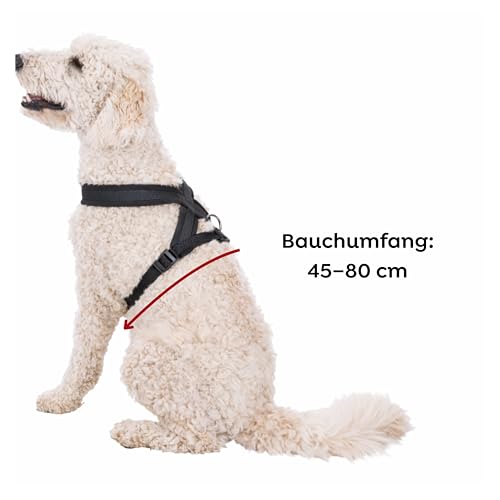 TRIXIE Premium Touren-Geschirr Größe M: Brustumfang 45–80 cm/25 mm in schwarz - sportliches Hundegeschirr mit angenehmer Vliespolsterung, stufenlos verstellbar für mittelgroße Hunde, 203901