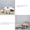 30 Pack Blank Natural Pulp Egg Cartons, Reusable 6 Count Eggs Holder Container for Chicken Eggs Bulk Vintage Half Dozen Empty Egg Cardboard Paper Cartons