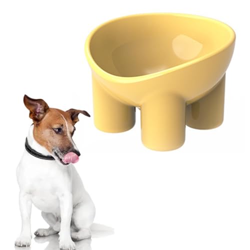Pssopp Pet Tilted Raised Food Water Bowls, Neck Friendly Design Backflow Prevention Ergonomic Elevated Pet Bowl for Cat Dog Eating Accessories (Lemon Yellow)