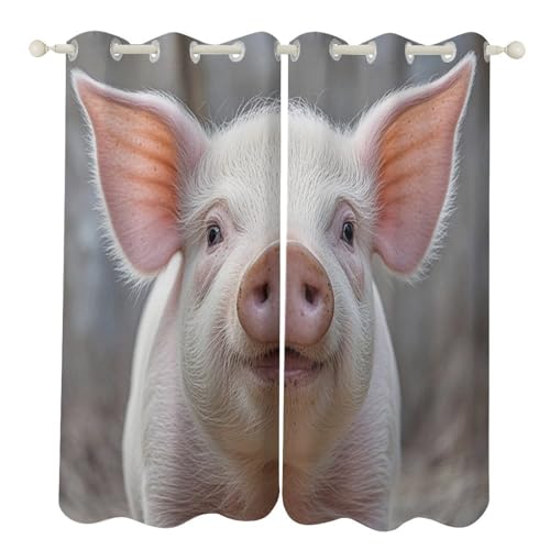 Rideaux occultants pour bloquer le froid du salon avec motif mignon