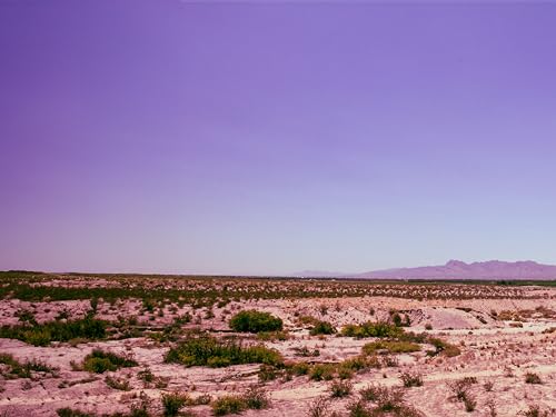 Nathaniel Rateliff & The Night Sweats