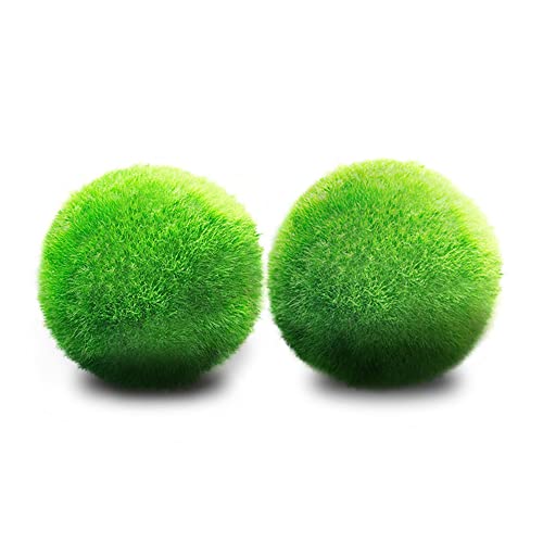 Top 10 Aquarium Moss Balls of 2022 Best Reviews Guide