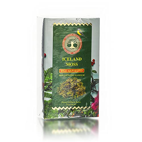 Siberian Treasure Iceland Moss, Wild Harvested, 2.65 OZ (75 Grams) – Herbal Tea (Cetraria islandica)
