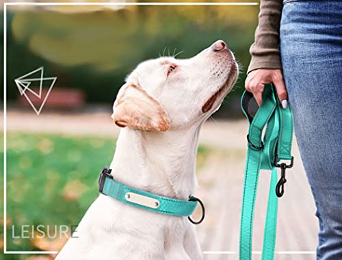 Dual Handle Dog Leash Features
