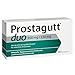 Produktbild Prostagutt duo 160 mg | 120 mg Weichkapseln  Pflanzliches Arzneimittel zur Verringerung des Harndrangs bei gutartiger Prostatavergrößerung  60 Weichkapseln