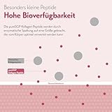 pureSGP® Kollagen [300g]: Reinstes Kollagen in Apothekenqualität - Bioaktive Premium-Peptide aus hochwertigem Kollagenhydrolysat. Mit Vitamin C & Biotin - Geschmacksneutral - Gute Löslichkeit