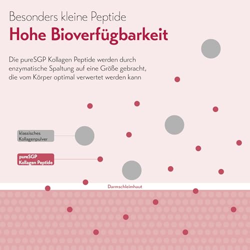 pureSGP® Kollagen [300g]: Reinstes Kollagen in Apothekenqualität - Bioaktive Premium-Peptide aus hochwertigem Kollagenhydrolysat. Mit Vitamin C & Biotin - Geschmacksneutral - Sehr gute Löslichkeit