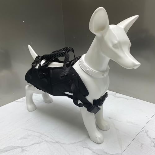 Bandolera de transporte para perros: comparte cada viaje y paseo a tu lado 8