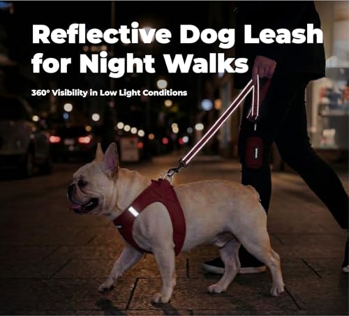 Image of Best Pet Supplies Voyager Reflective Dog Leash or Collar with Neoprene Handle, for Small, Medium, and Large Breed Puppies, Cute and Heavy Duty for Walking, Running and Training - Red (Leash), L