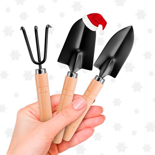 Juego de 3 herramientas de jardín pequeñas para jardinería, juego de herramientas de plantación con mano pequeña de pala de jardín, rastrillo de mano ergonómico, mango de madera maciza y resistente al