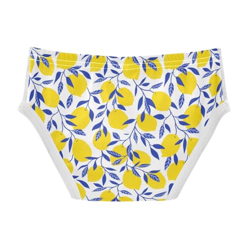 Boys' Exclusive Briefs Toddler Underwear 95% Combed Cotton Boxerbriefs 2T Lemon and Leaf Pattern 642