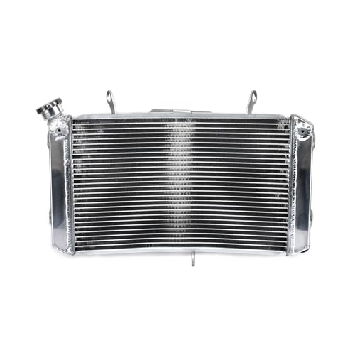 Engine Cooling Radiator for FZS 1000 Fazer 01-15 FZS1000S 03 04 05 FZ FZ1N 06-15 07 08 09 FZ8 11 12 13 Water Cooler(FZS 1000 06-