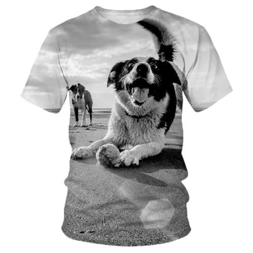 T-Shirt Impression 3D Chien CHANYI Anti-Décoloration pour un Style Harajuku Durable