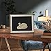 VIYYIEA Framed Wall Art for Living Room, Swan Art Canvas Prints, Vintage Home Decor, Animals Painting Picture, Bathroom Wall Decor Gifts for Friends or Family - 12L x 10W