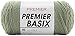 Premier Yarns Basix Sage 1115-57 (3-Skeins - Same Dye Lot) Worsted Medium #4 Acrylic Yarn for Crocheting and Knitting with Project Bag