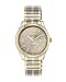 Armitron Men's 204591GYTT Two-Tone Expansion Band Dress Watch