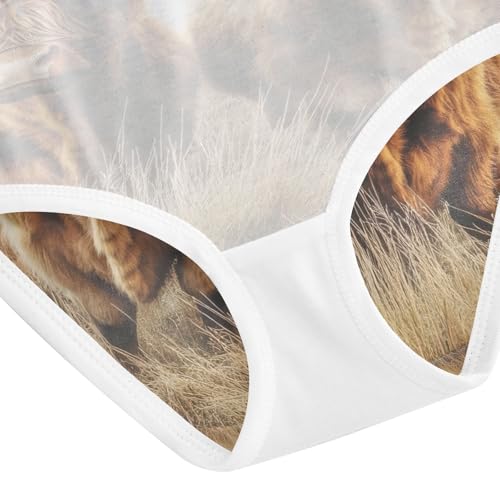 Two Highland Cows Winter Toddler Girls's Underwear 2T 202b8620 5