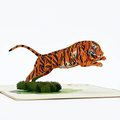 Image of Rykamia Tiger Pop Up Card, Blank, with Envelope, 3D, Delightful Illustrations, Suitable for Any Occasion, Protective Poly Bag Included