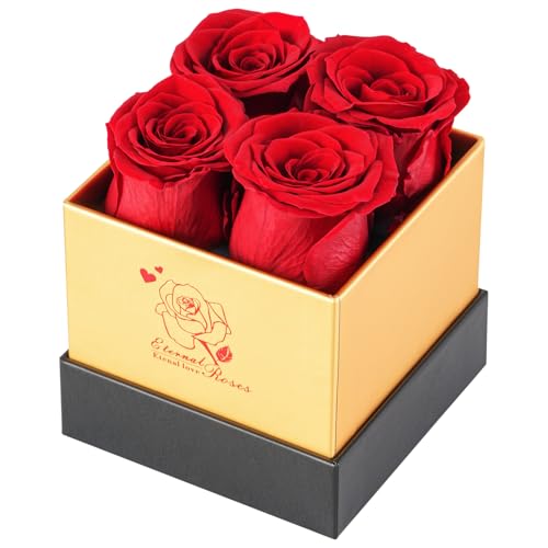 Ariceleo Rosa Preservata in Scatola - Rose Eterne per la Festa della Mamma, Regali di Compleanno per Donne, Mamma, Fidanzata, Moglie, Nonna, Regali Romantici per San Valentino, Anniversari
